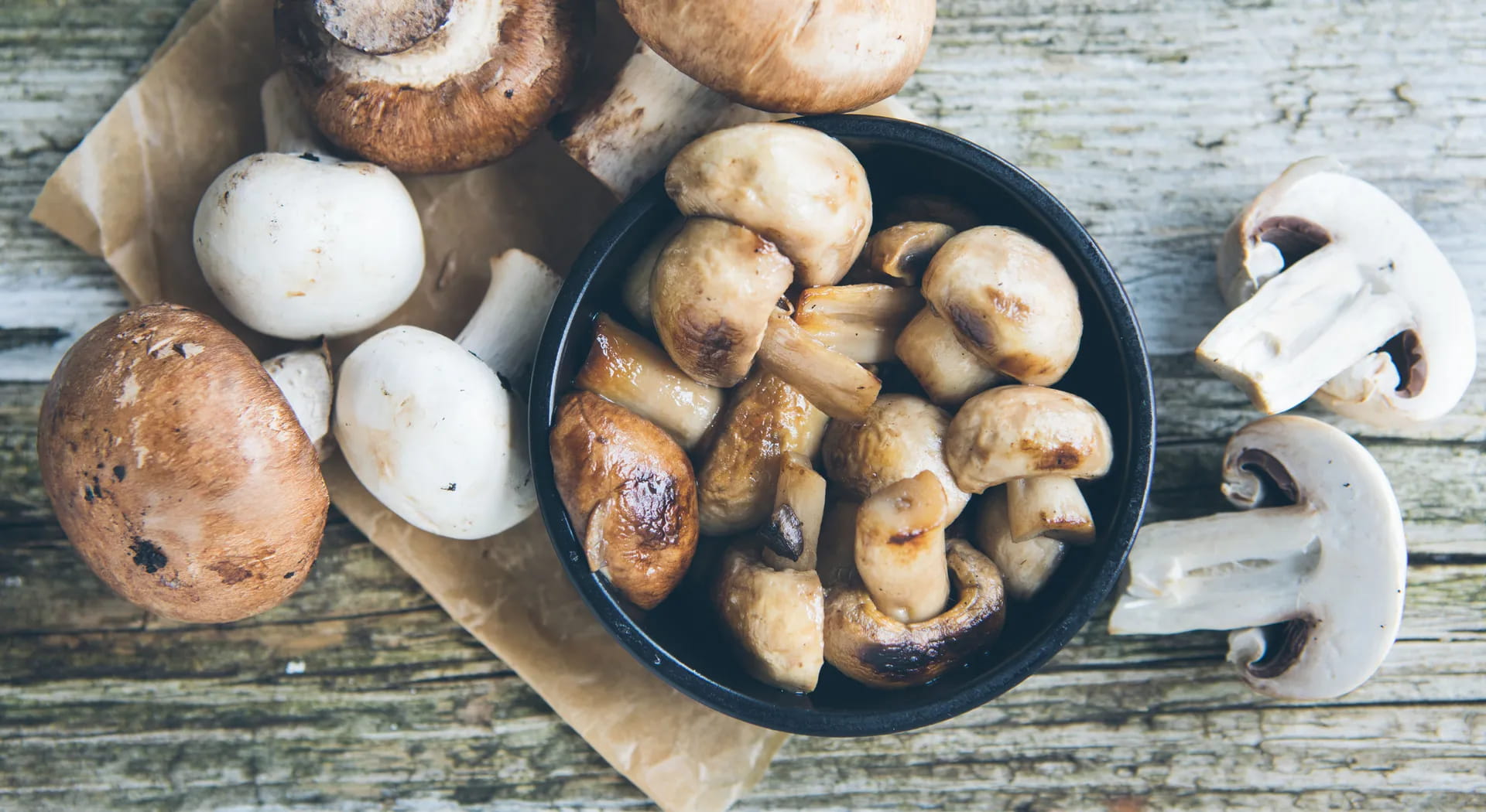 Mushrooms: all varieties and how to recognize them