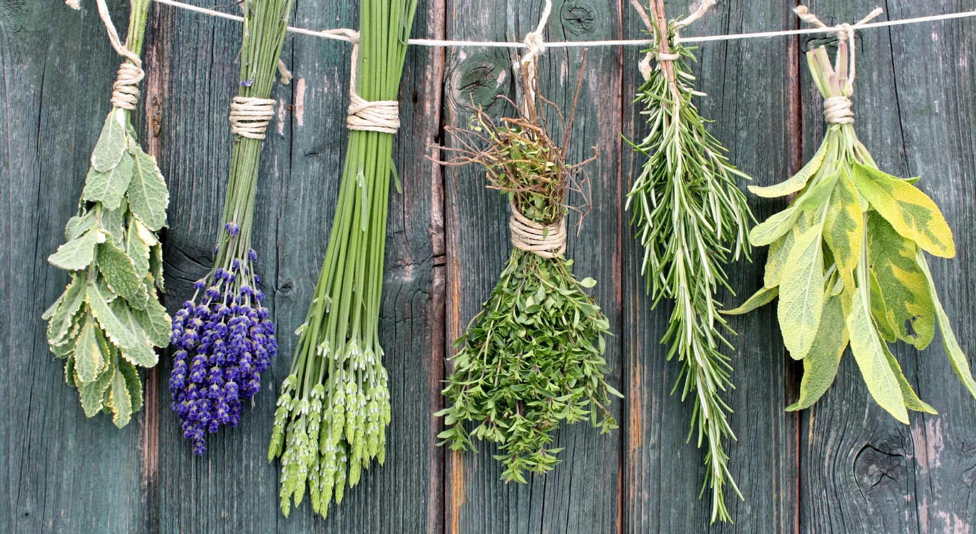 Mix of aromatic herbs: how to make them to eliminate salt