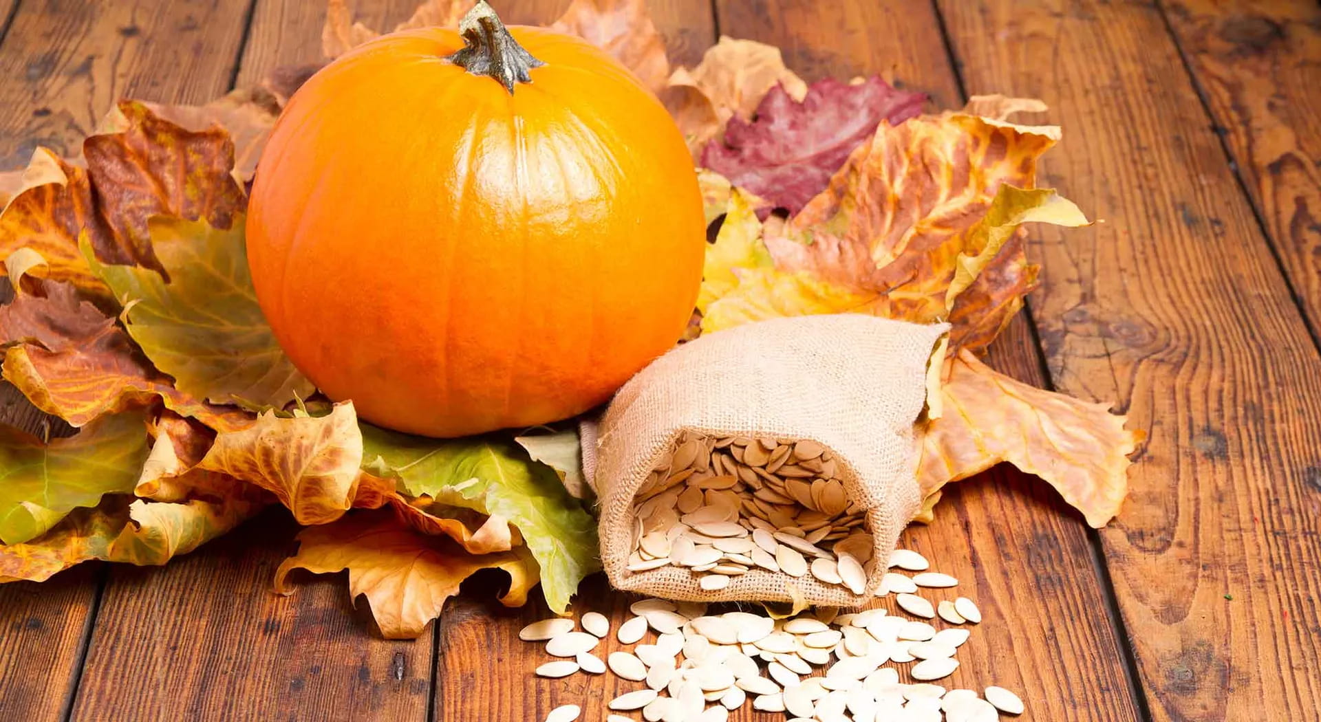 Pumpkin seeds, how to toast them correctly